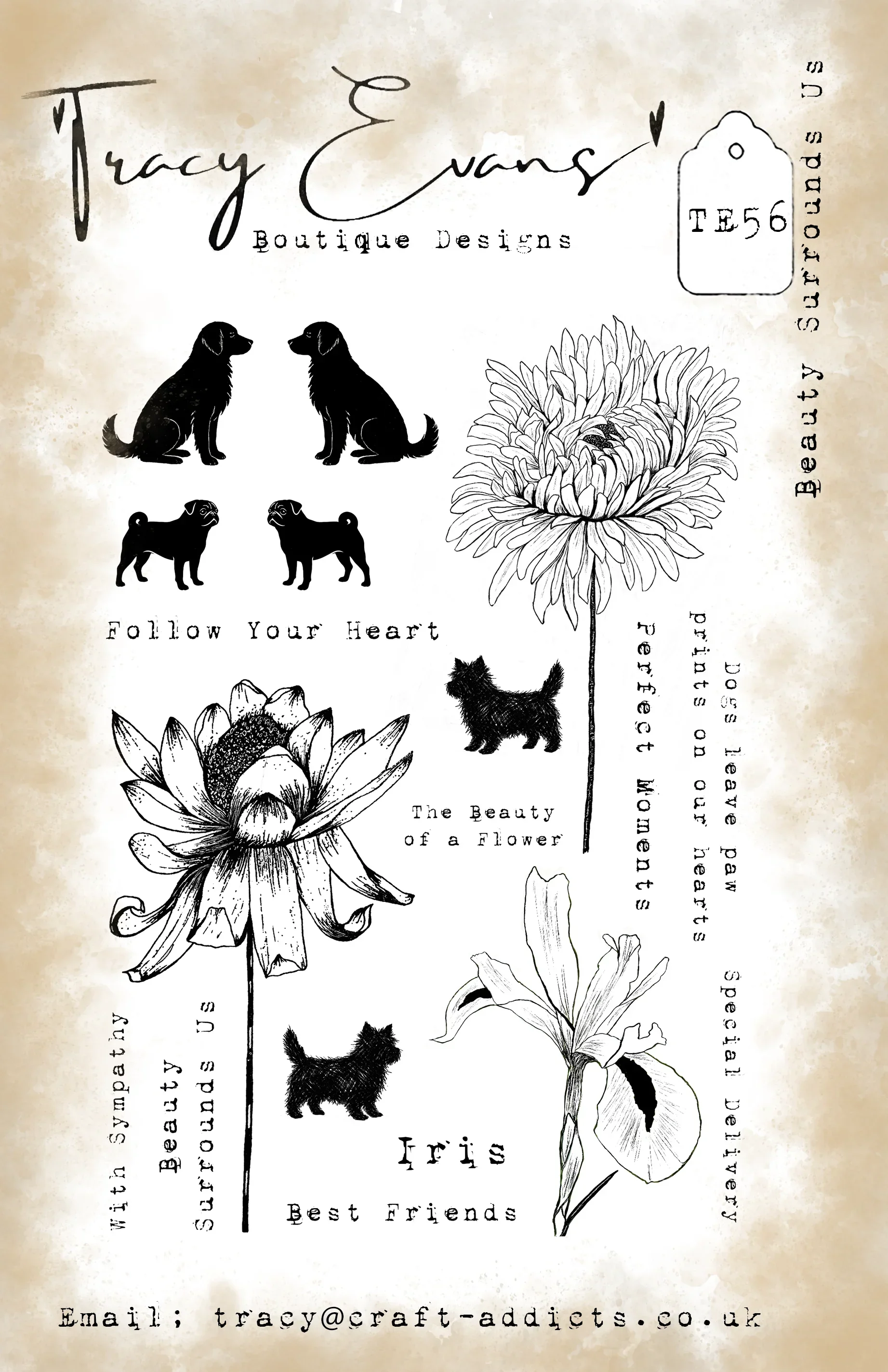 The Beauty of a Flower Metal Cutting Frame Dies and Clear Stamps Stencil 2026 New Templates DIY Scrap Booking Paper Making 2026 view 6