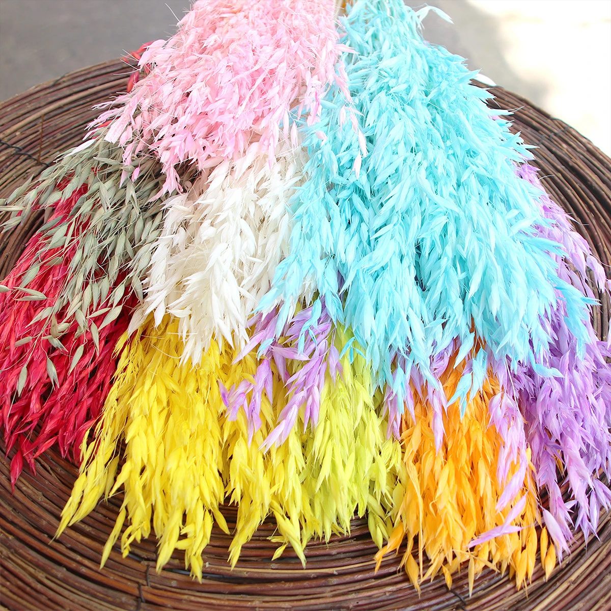 Rama de flores secas de Avena Natural, decoración nórdica para el hogar, flores reales, arreglo de boda DIY, accesorios de tiro, avanza Sativa