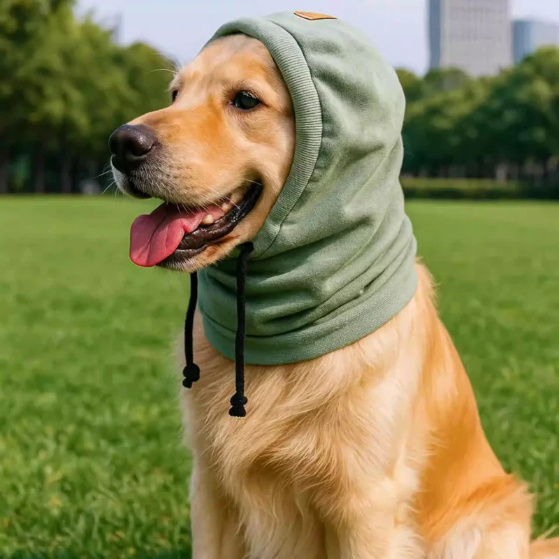 Gorro de invierno para perro, caniche, Bichon, Schnauzer, Corgi, Shiba Inu, samoyedo, frontera, Collie, Husky, Labrador, Golden Retriever, gorra grande para perro