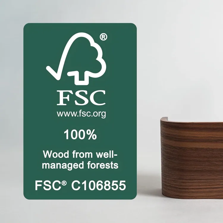 Wall-Mounted Coat Rack 'Toke' - Modern Design Coat Rack with Hidden Wall Hooks - Solid Wood Veneer Panel Coat Hanger - Walnut