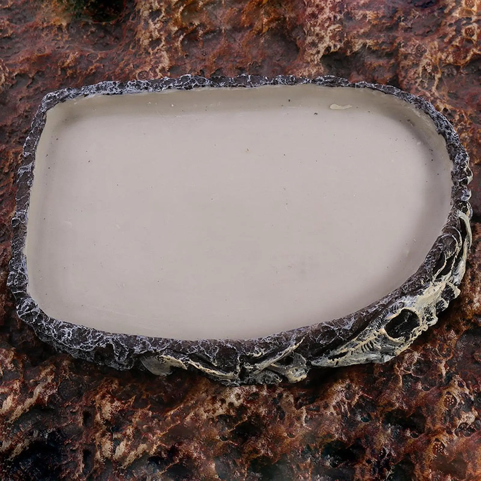 

Reptile Food Dish Bowl Snake Pet Aquarium Ornament Frog Terrarium Water Dish
