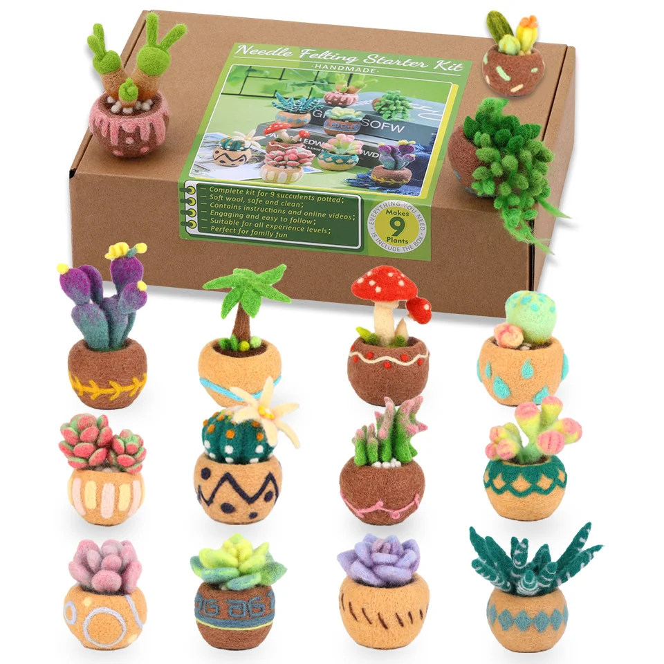 BUDDUR Succulent Potted Plant Wool Felting Kit With Instruction and Felting Needles For Beginners DIY Handmade Craft Accessories