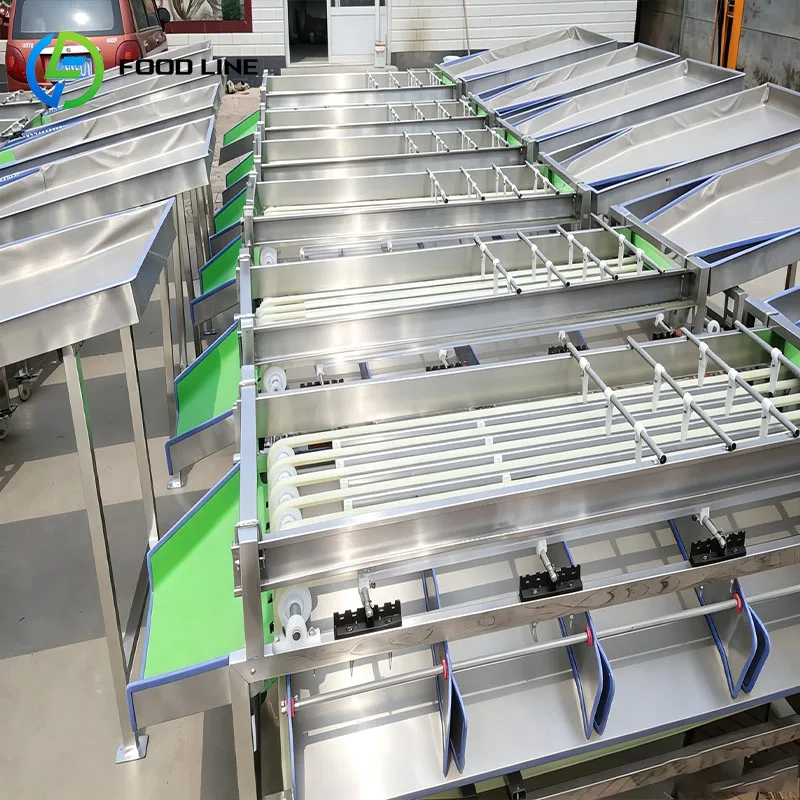 Vegetable Sorter Fruit Grading Machine Size Grader for Potato Onion Tomato Carrot Pepper Customized
