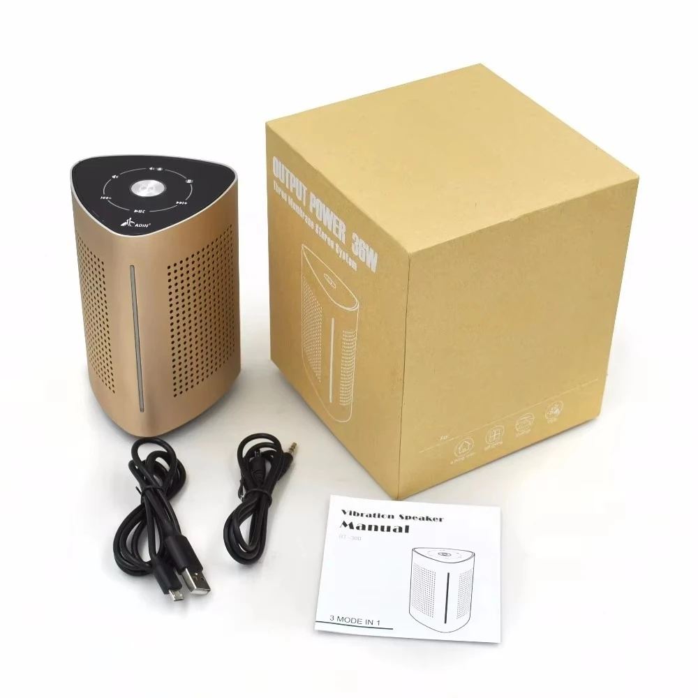 The Best-value Portable Audio Solution: a Vibration Speaker with Surface Transducer and Bass Shaker Technology