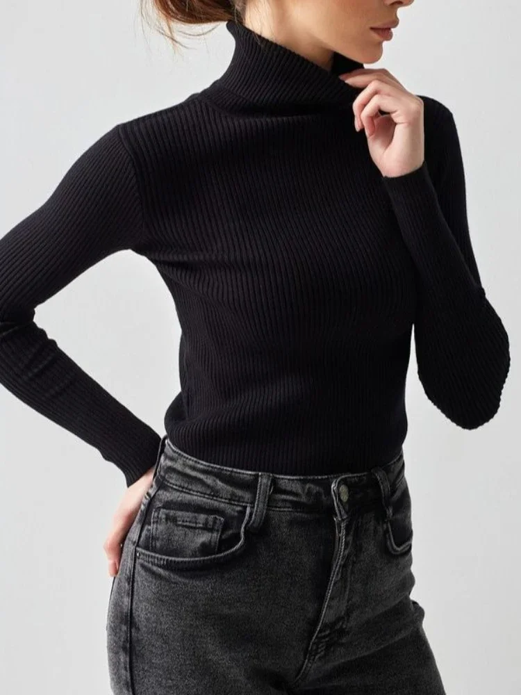 Knitted Women Autumn Soft Turtleneck Sweater Female Basic Sweater Casual Soft Turtleneck Pullover Sweater Streetwear