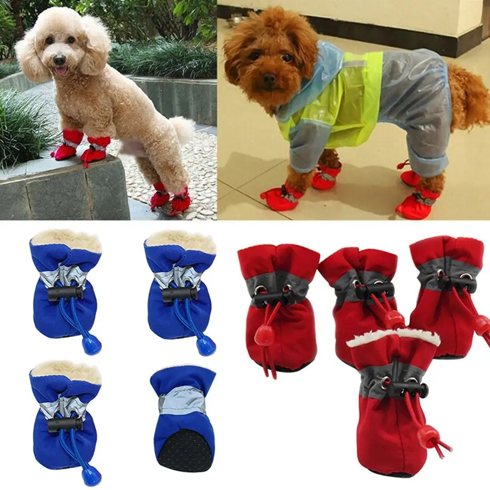 Thumbnail 2 - #41 New Dog Boots Arrivals