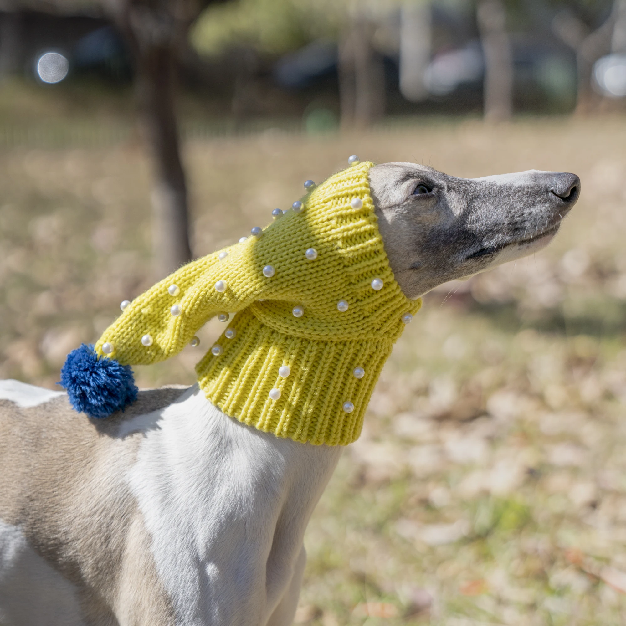 Yellow Hat with Pearls, Small Dog Hat, Whitbit Greyhound, Winter Warmth Decoration, Large Dog Hat