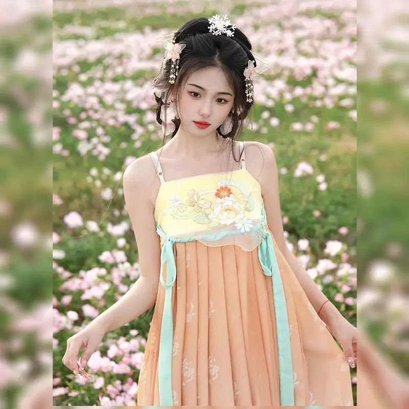 Costume cinese tradizionale Hanfu donna abito antico ricamo orientale abito da principessa eleganza Tang Dynasty Dance Wear Dress