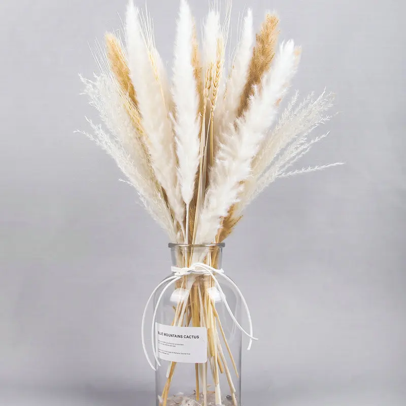Luxury Rabbit Tail Pampas Grass Reed Gold Orbs Natural Dried Flowers Bouquet For Home Wedding Decoration Valentines Day Gift image 3