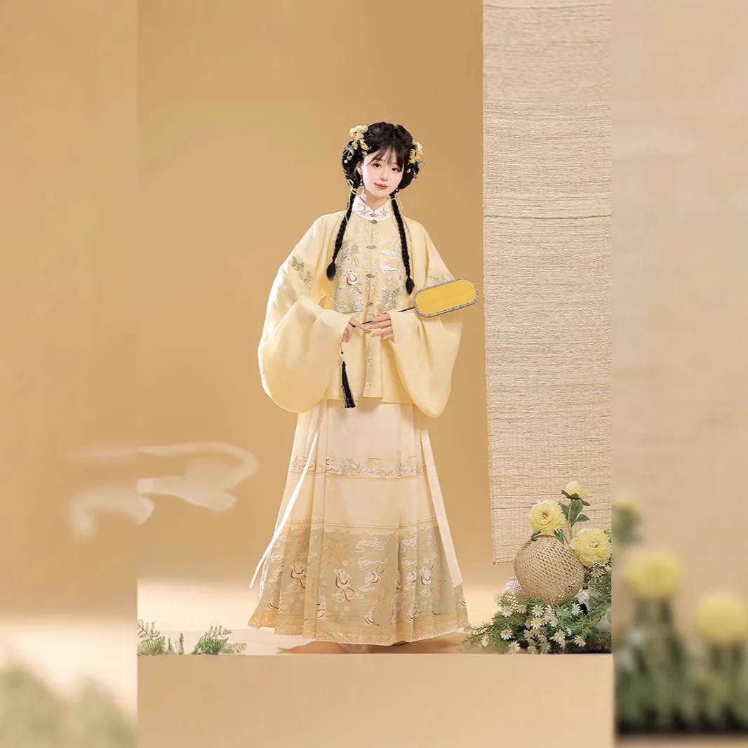 Adult Hanfu Ming Stand Collar Embroidery Patch Pipa Sleeve Horse-Face Skirt Spring and Autumn Suit