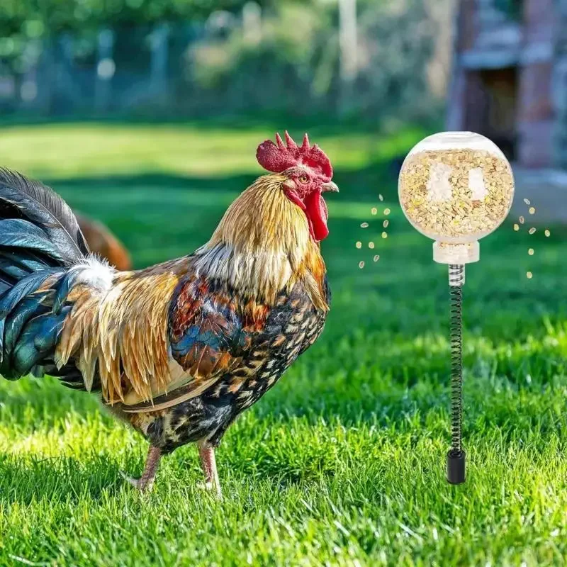 Comederos pollo liberación lenta juguete aves corral activado por fomenta instintos alimentación