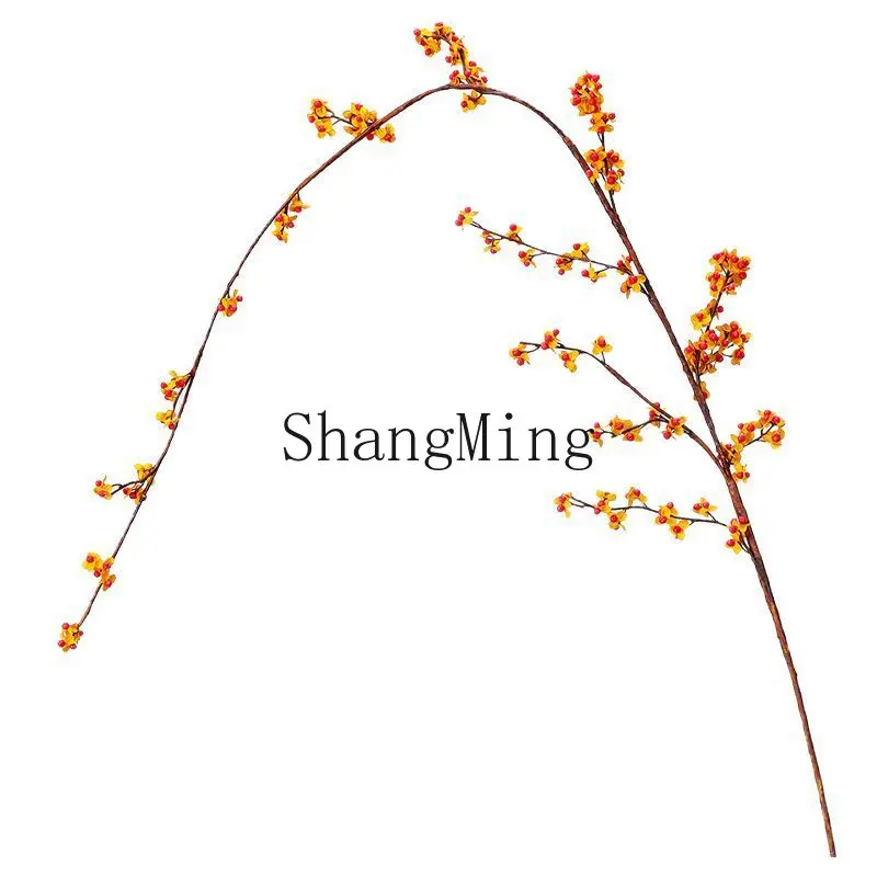 

DSA simulation southern snake vine red fruit branches sagging berries dead branches landscaping flower arrangement dried