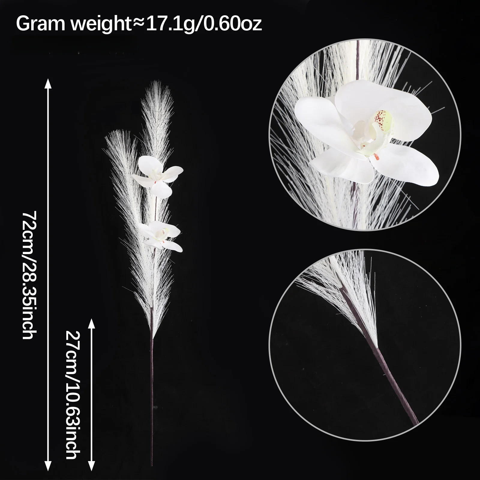 Tallo de Orquídea Phalaenopsis - Pampas Grass Decor reseña y precio