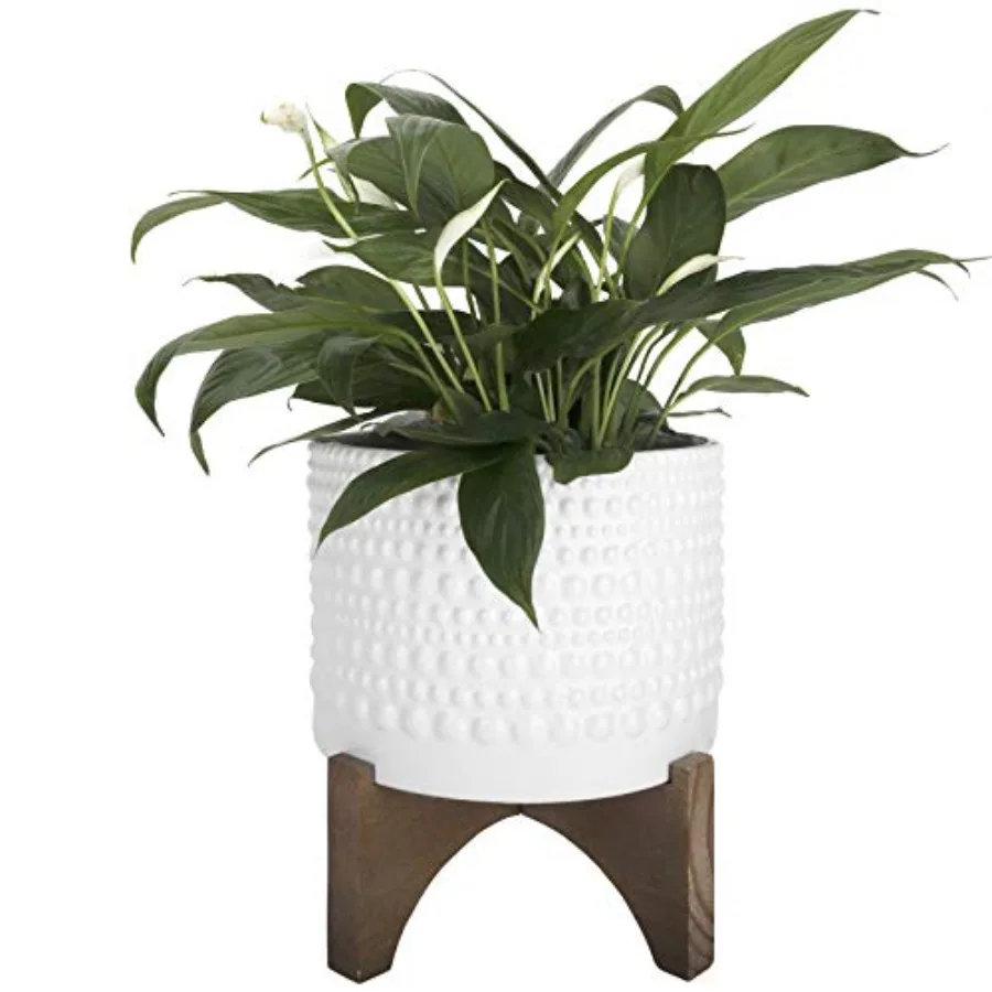 

Ceramic Planter with Wood Stand - 8 Inch White Cylinder Embossed Hobnail Patterned Flower Plant Pot Indoor