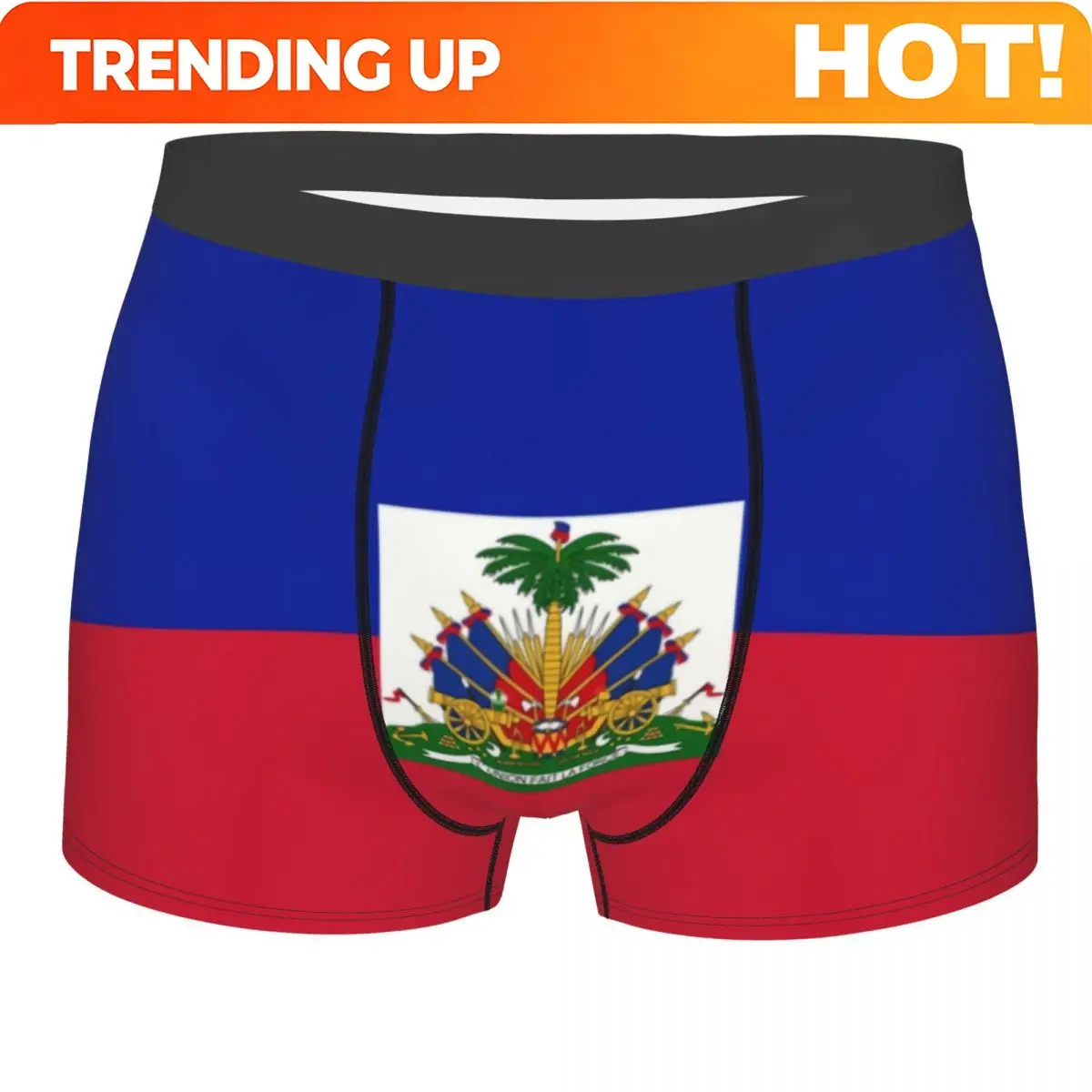 Custom Flag Of Haiti Underwear Men Breathbale Boxer Briefs Shorts Panties Soft Underpants For Homme