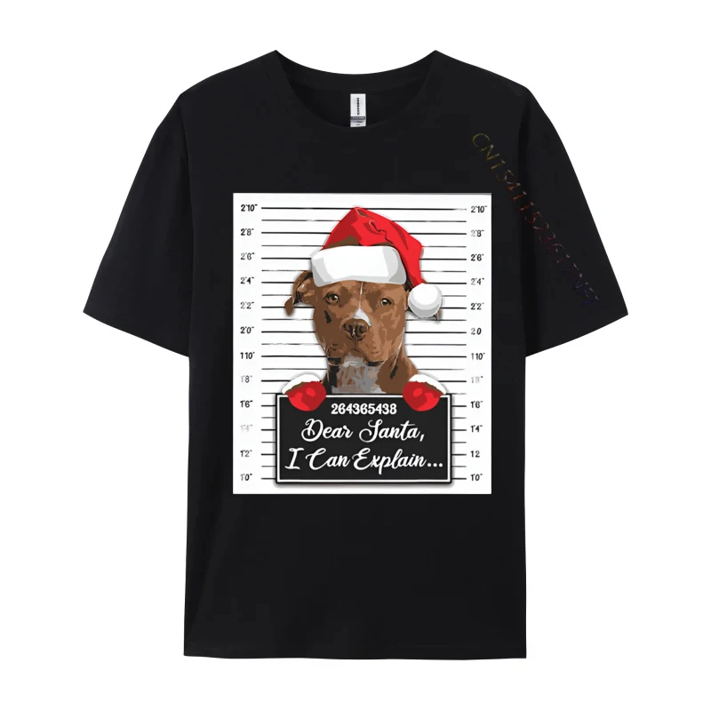 Neueste Männer T-Shirts lieber Santa Ich kann lustige Weihnachten T-Shirts Baumwolle Freizeit Street Wear T-Shirt erklären