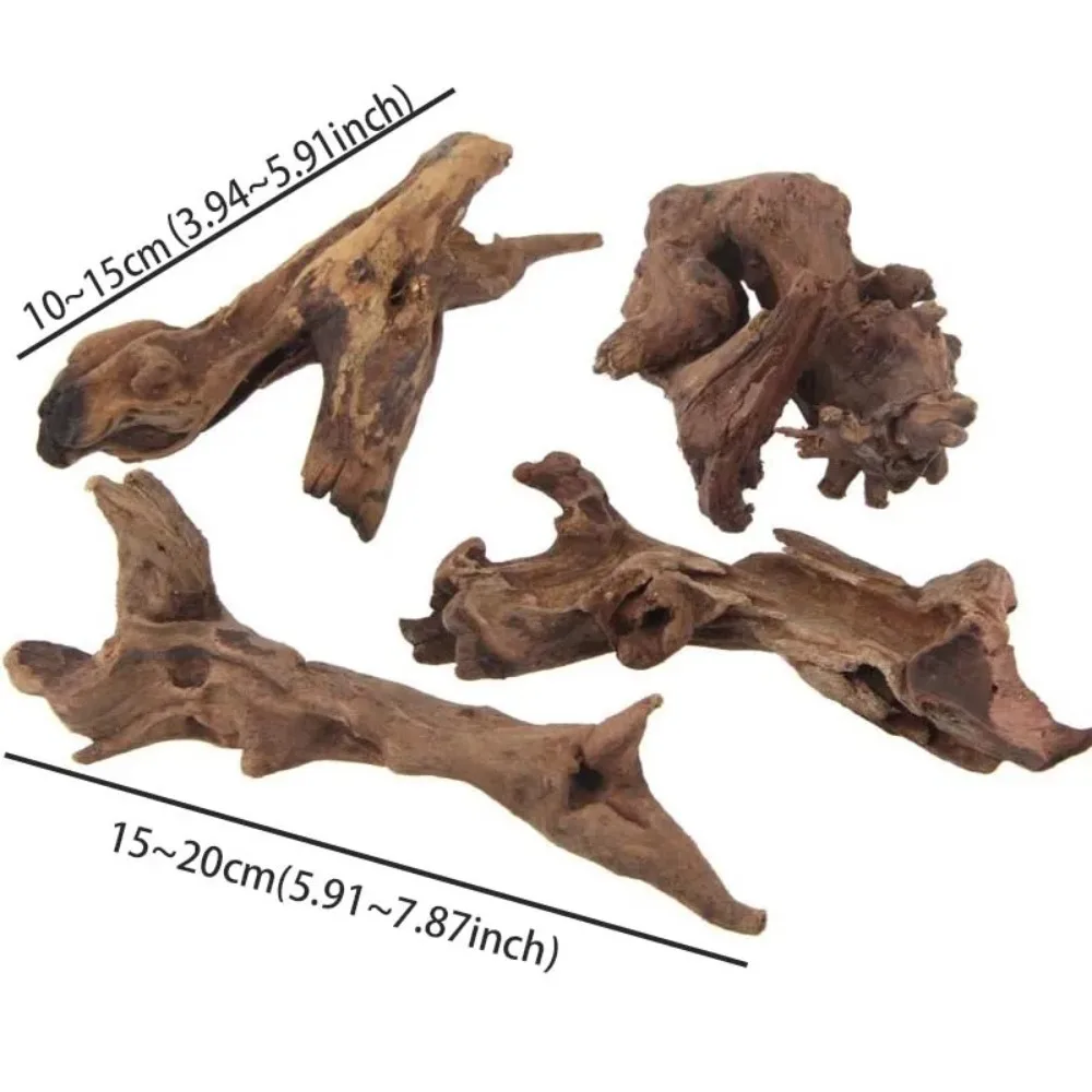 Thumbnail 2 - #7 Ranked Decorative Aquarium Plants Picks in 2026