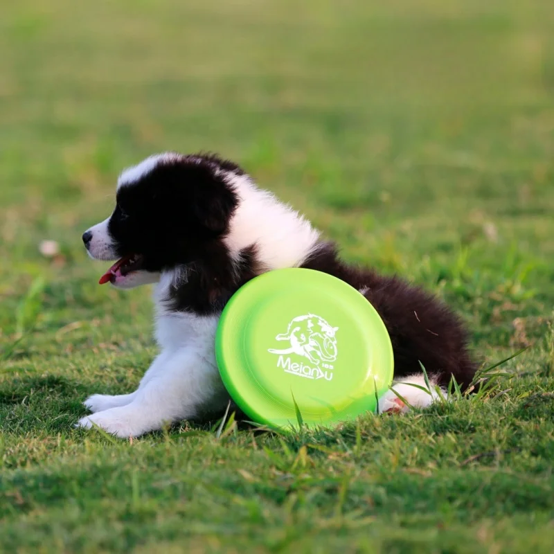 

Bite Resistant Flying Disc Toys Dog Multifunction Pet Puppy Training Toys Outdoor Interactive Game Pet Dogs Products