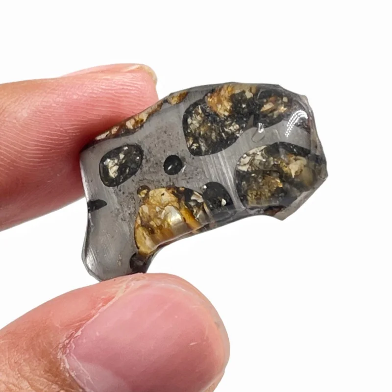 Seymchan Pallasite Meteorite Polished Freeform Specimen Natural Olivine Iron Meteorite Astronomy Collection