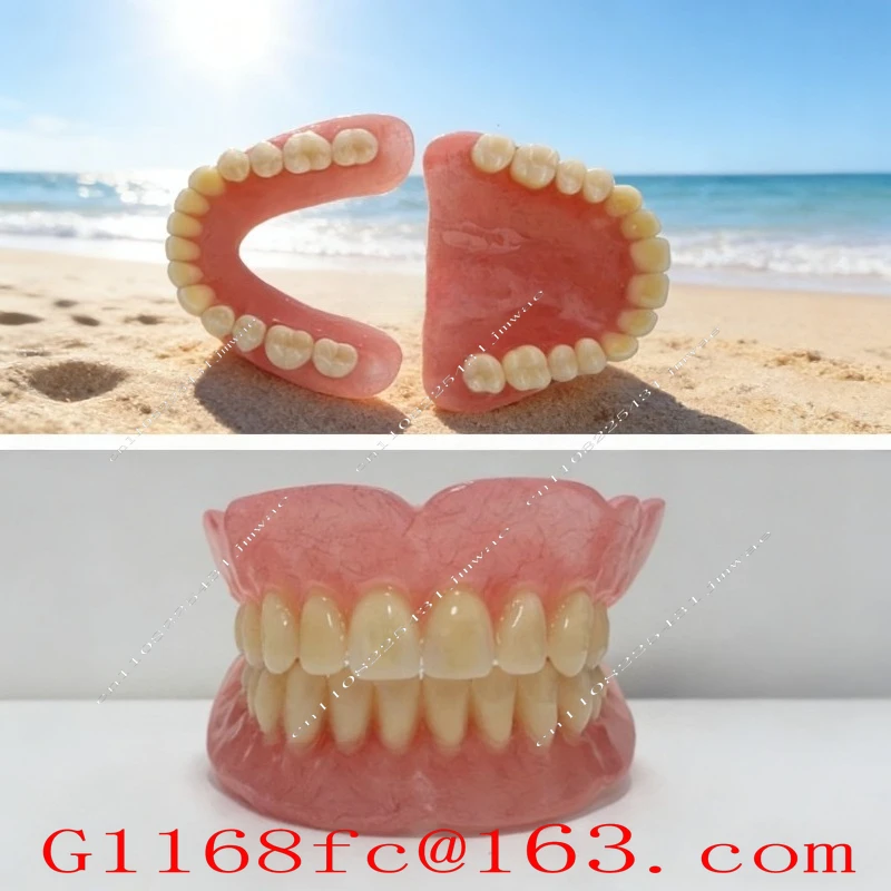Full Mouth Elderly Tooth Model Display Activity Supplies Removable Dentures