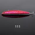 111--9029