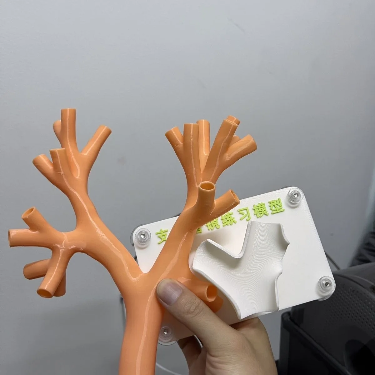 Customized meat-colored soft bronchial model endoscopic soft endoscope practice model simulation 3D