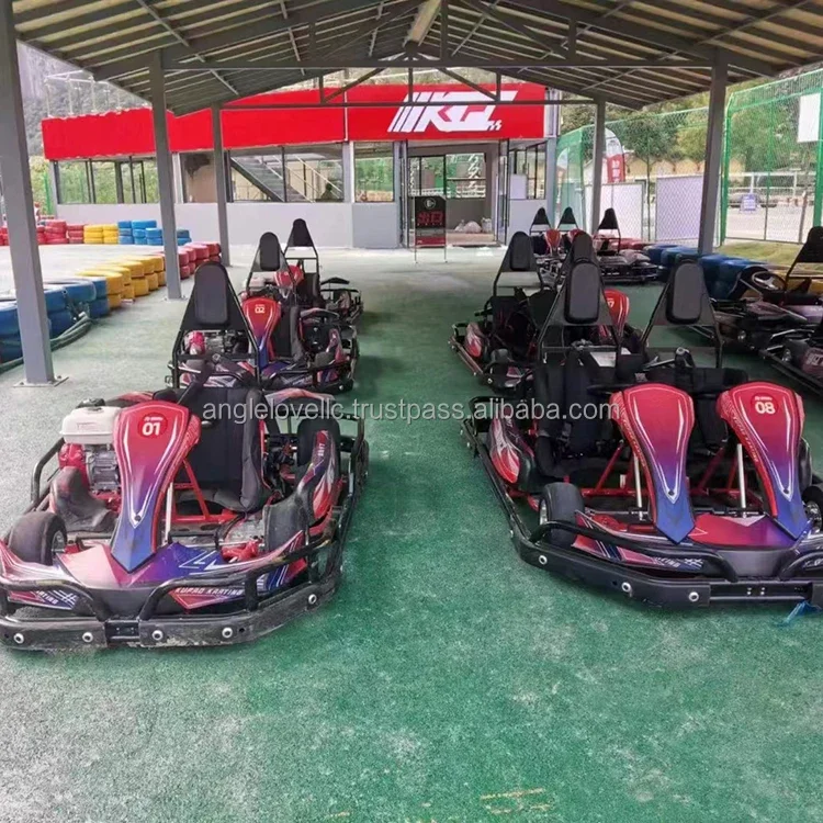 Factory Sale Amusement Park Rides Indoor/Outdoor Go Karts for Adventure Parks and Shopping Malls