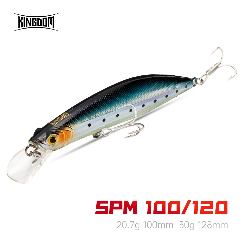 Kingdom Floating Minnow Fishing Lures 100mm 20.7g 120mm 30g Professional Trolling Hard Swim Baits Saltwater Wobblers Crankbaits