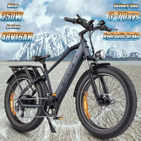 ENGWE E26 Electric Bike 250W Motor 48V16AH Lithium Battery Hydraulic Brake E-Bike 26*4.0 Inch Fat Tire Mountain Electric Bicycle