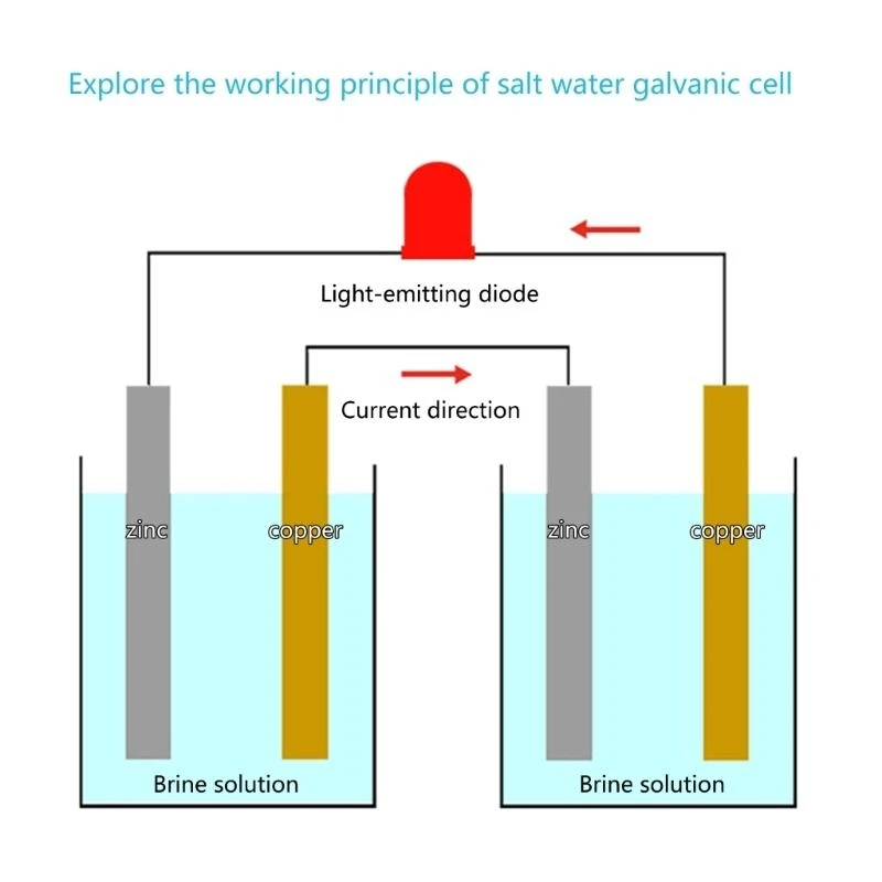 Экспериментальный футляр для производства электроэнергии в морской воде для детей и студентов, изучающих физику и принципы электричества