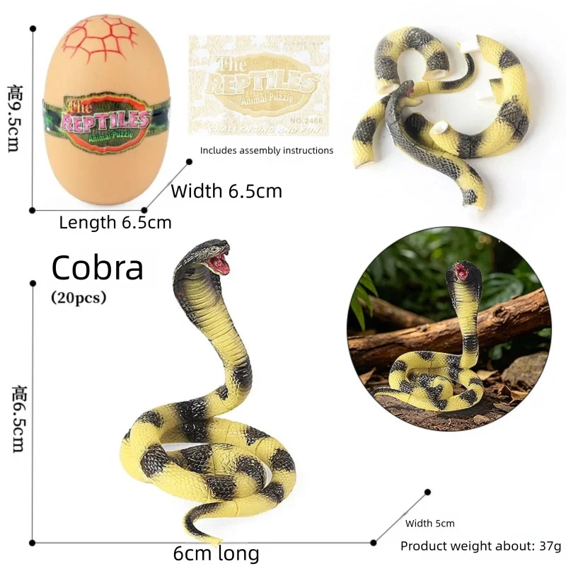 Oenux 4D Assembly Insect Reptile Models Beetle Lizard Centipede Snake DIY Kit Realistic Bug Figurines for Collection Desktop Dec view 4