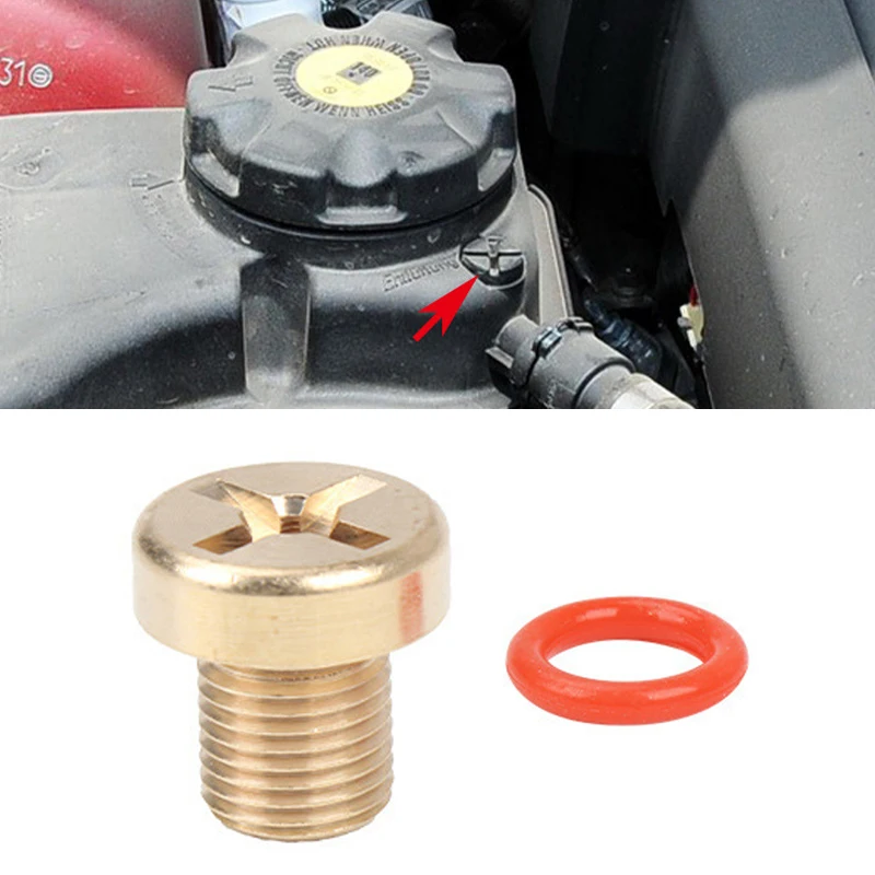 Universal Brass Coolant Expansion Screw Water Tank Drainage Screw For BMW F20 F30 F10 F25 G01 G30 G20 E36 E39 E46 17111712788