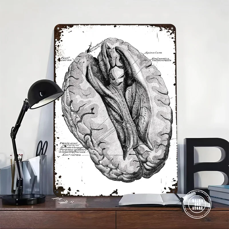 تشريح الدماغ البشري التوضيح المعادن المشارك تين علامات جدار الفن خمر الديكور غرفة علامة معدنية مخصصة للديكور المنزل