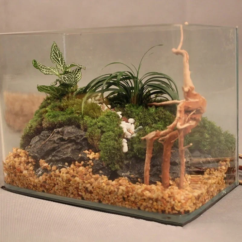 Nuevo y práctico tronco de madera natural para decoración de acuarios y terrarios de reptiles, suministros para mascotas