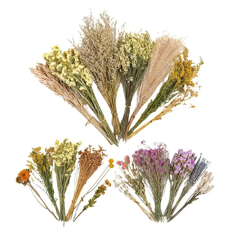 

Постельное белье для цветов и растений, хомяк, дезодорирующее постельное белье, Золотой медведь, гнездо, ландшафтные принадлежности, сушеные цветы для маленьких домашних животных