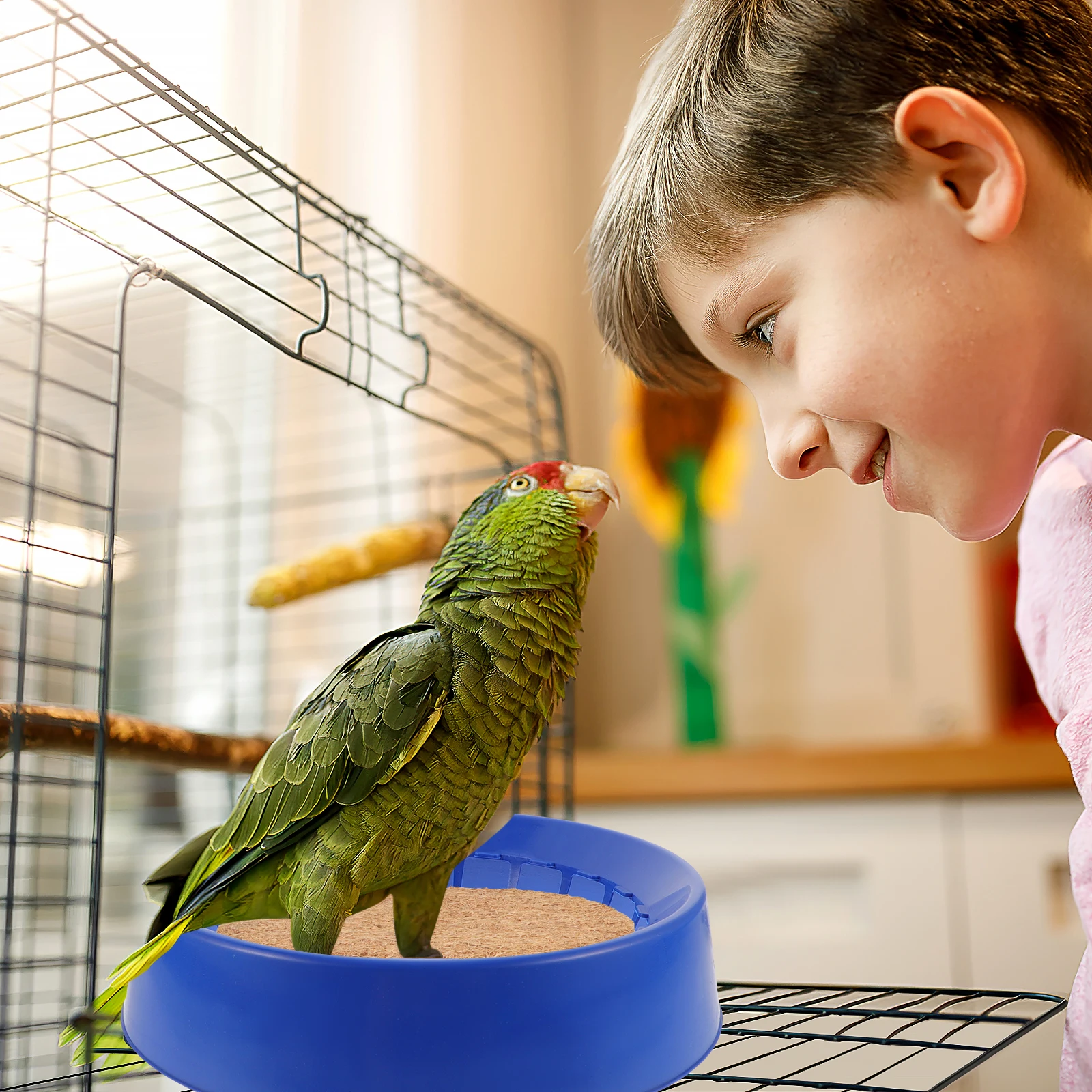 

4pcs Pigeon Nest Egg Bowl Bird Hatching Cage Breeding Bed Poultry Nesting Boxes Nests Comfortable Safe Practical Long Serve