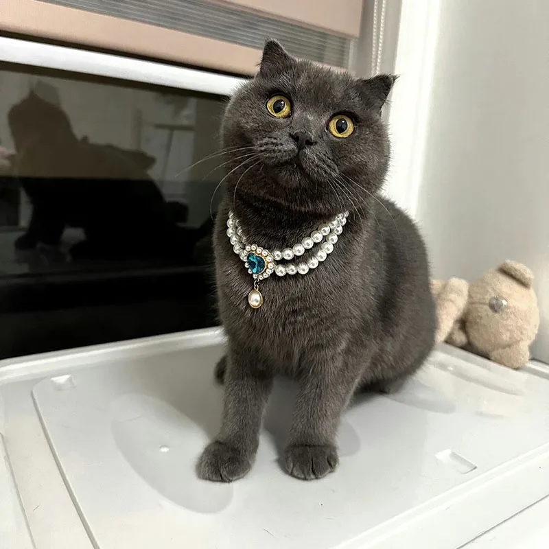 Luxury Dog Cat Pearl Necklace Collar with Diamond Pendant for Cats Dogs Puppy Wedding Costume Pet Crystal Jewelry Accessories