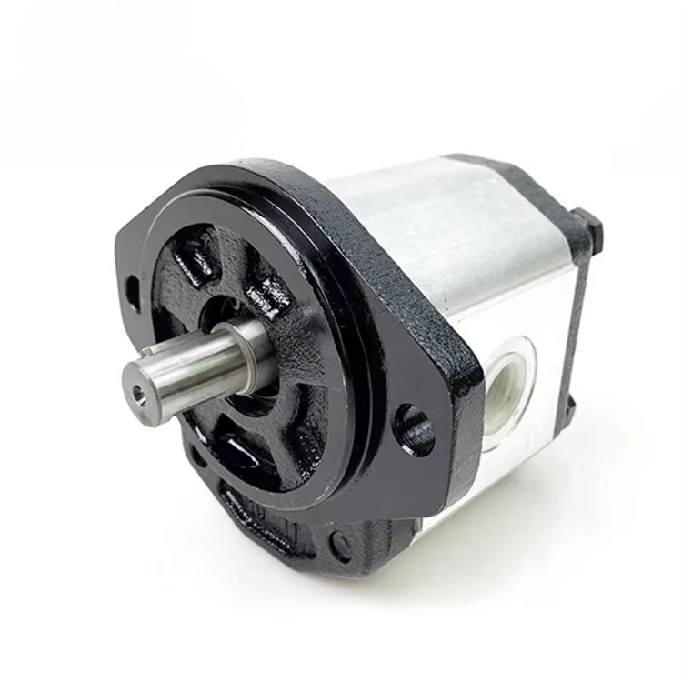 

Hydraulic Group 00 10 20 30 Series Gear Pump Hydraulic