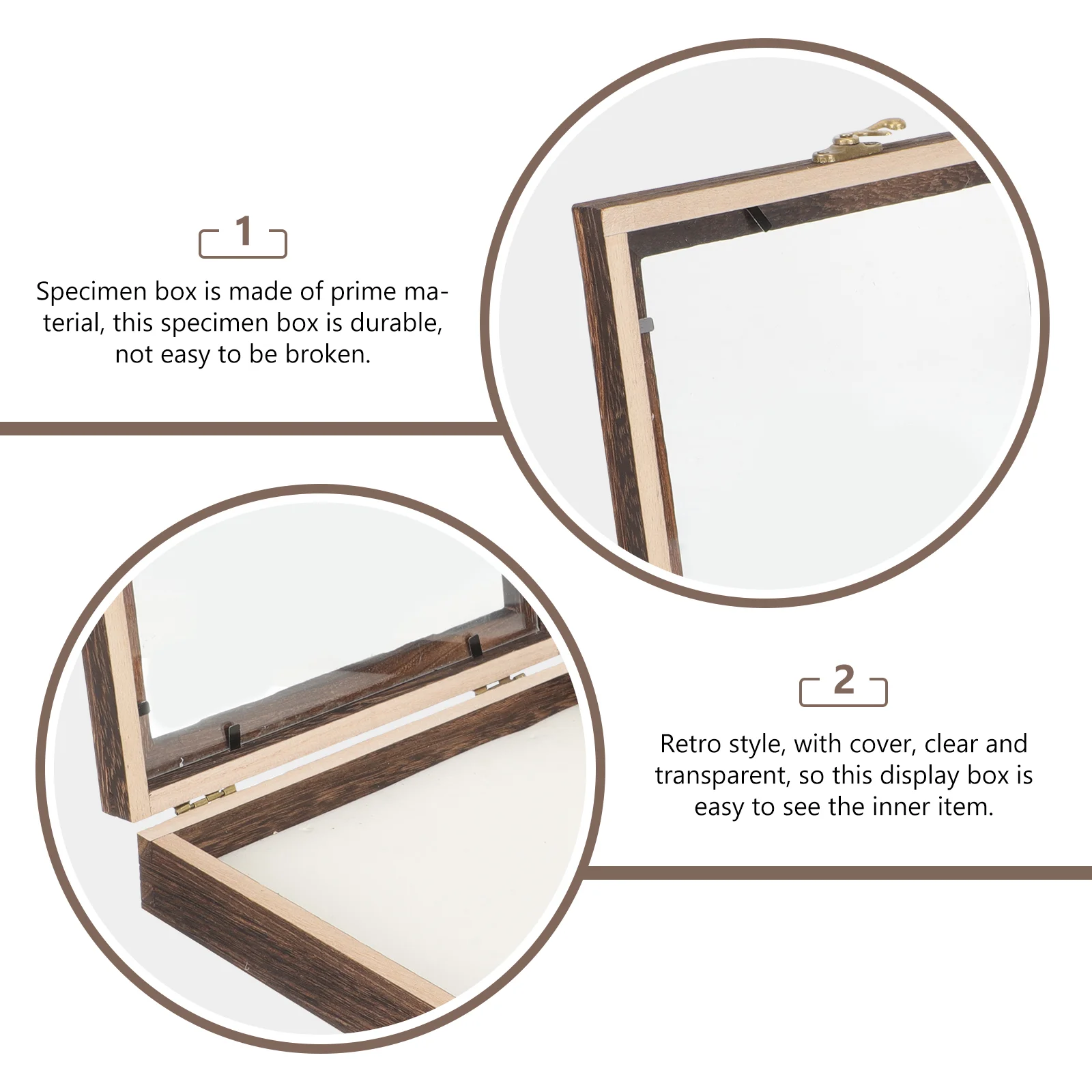 Decorate Display Case Entomology Kit Wooden Container with Lid Specimen Storage