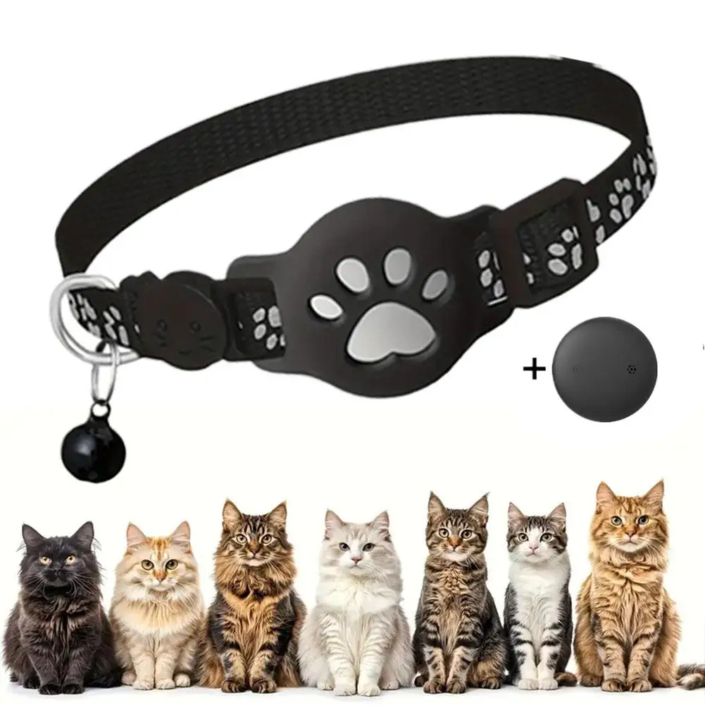 Thumbnail 3 - #64 Best Puppy Collars to Buy In 2026