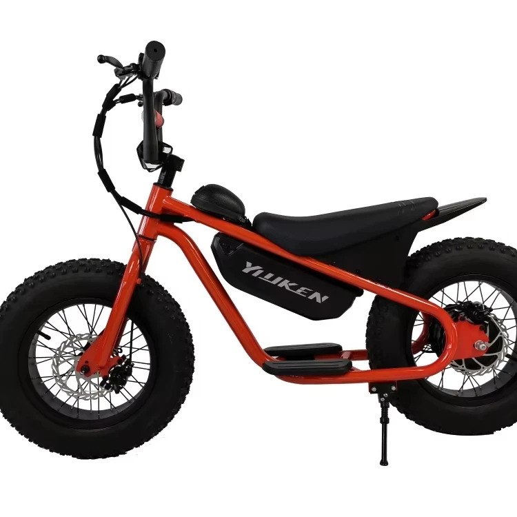 

1000w Eco-Friendly Electric Mountain Bike for Women Men Bike-to-Work Culture Essential Accessories Helmet Racks Trailers Quality