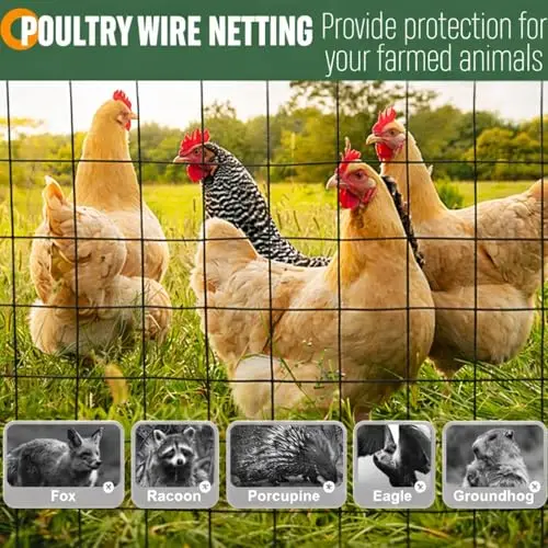 

Black 16-Gauge Galvanized Welded Wire Mesh Roll, 4 Ft × 100 Ft, 2.36 In Square Grid, PVC Coated, Heavy Duty For Poultry,