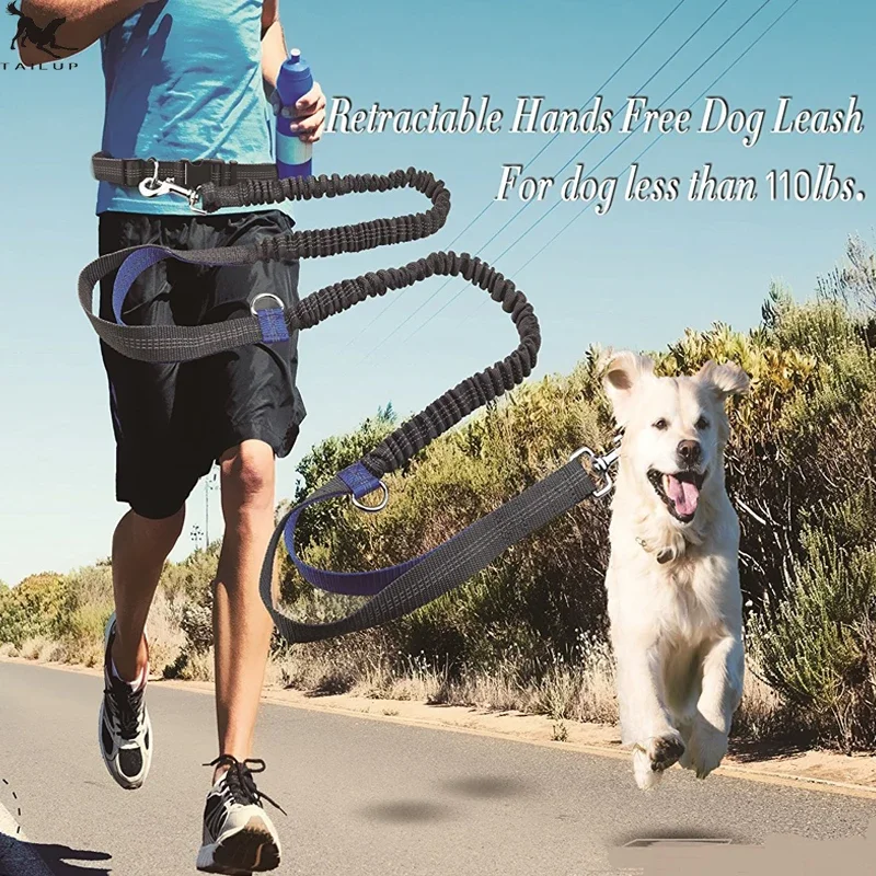 Dog Running Leash T… - image