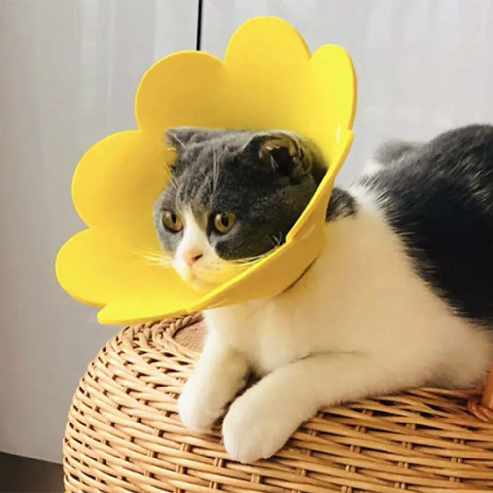 EVA Surgery Wound Healing Cats Dogs Health Neck Cone Recovery Protection Cover Elizabethan Collar Pets Protective Collar