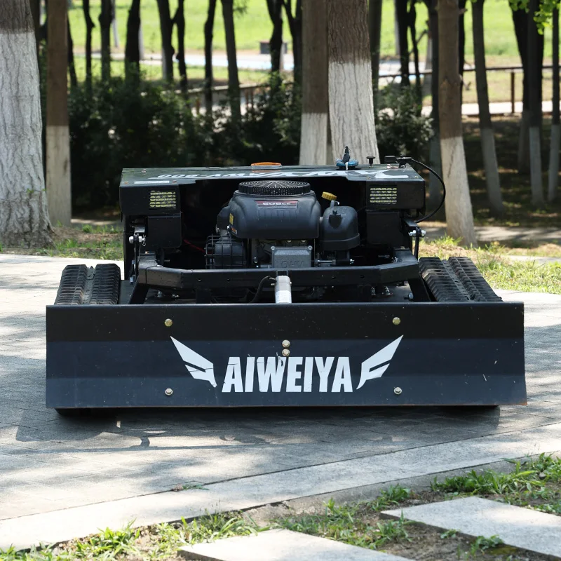 Customized High Power Remote Lawn Mower for Weeding Along Both Sides of Expressway Slopes Professional Snow Blower with Grass