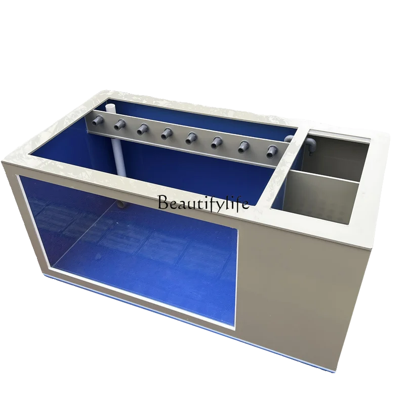 

Outer Gray Inner Blue Side Filter Ornamental Transparent Fish Pond Pp Plastic Super White Glass Breeding Fish Box