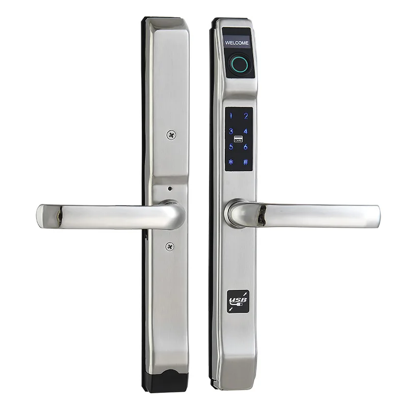 Electric door Outdoor deadbolt smart homelock