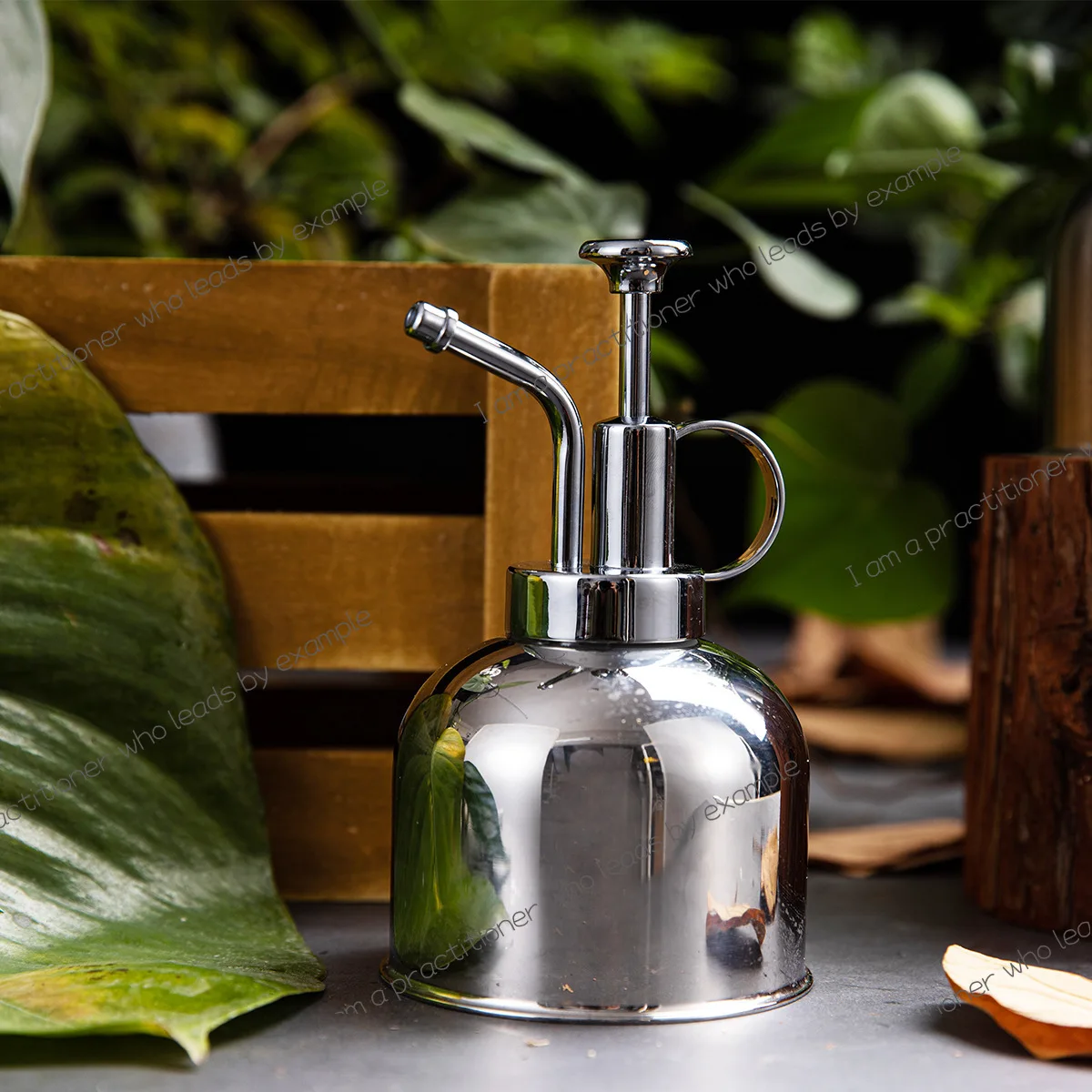 304 stainless steel sprinkler silver sprayer succulent green plant mini small water pouring water device metal watering can
