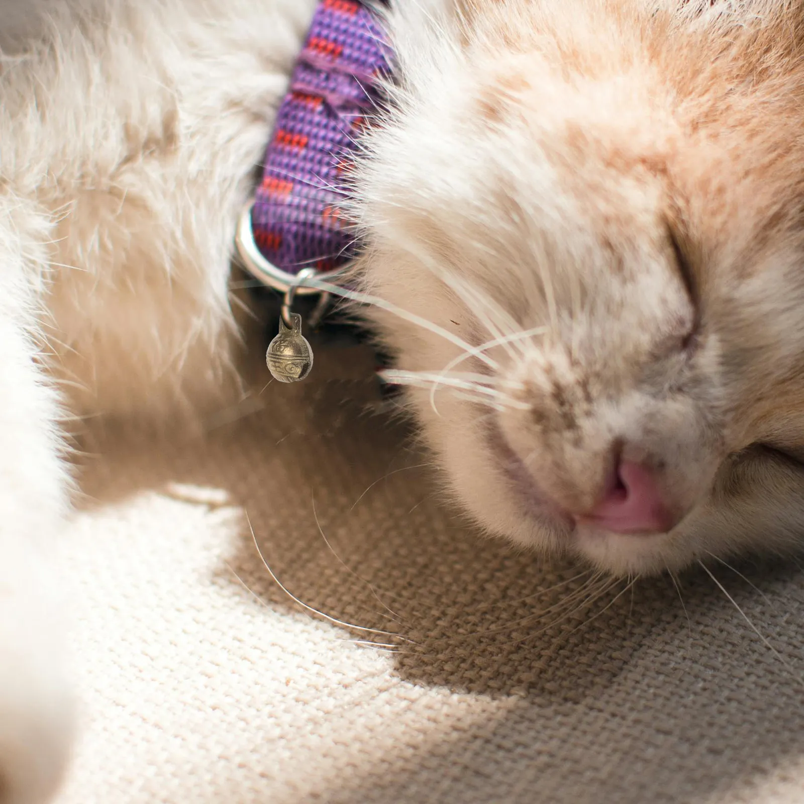 10Pcs Authentic Cop…