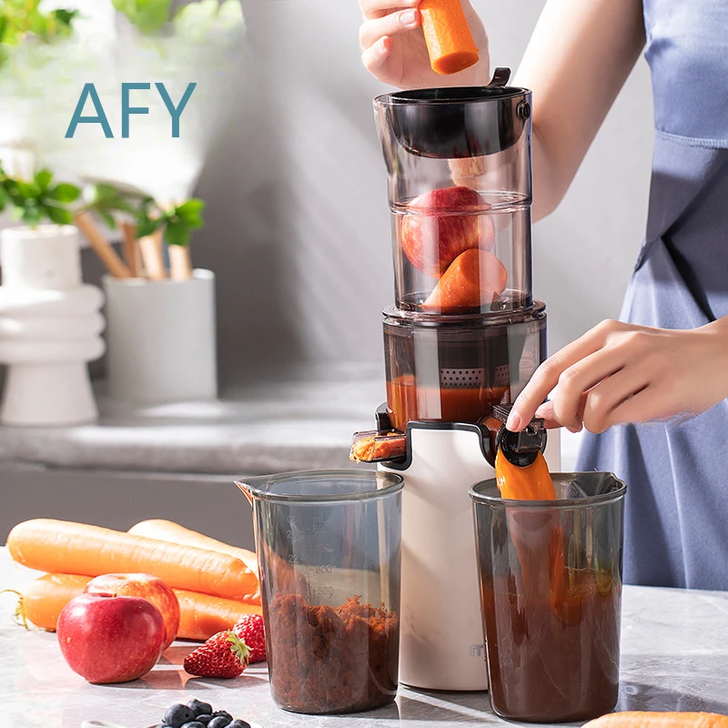 220V Elektrischer Slow Juicer  – Electric Slow Juicer Cold Press Bewertung und Preis
